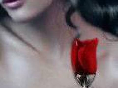 Les regalo una rosa.