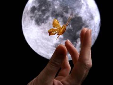 LA LUNA
