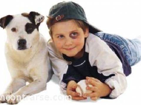 29 de Abril - Día del Animal