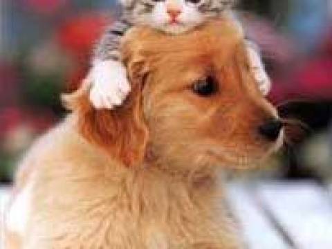I´ve finally found someone - Bryan Adams & Barbra Streissand