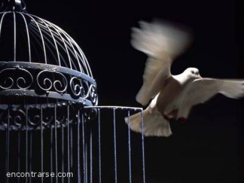 PARA LA LIBERTAD - ( Hernández / Serrat )