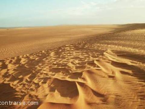 "EN EL SAHARA"...