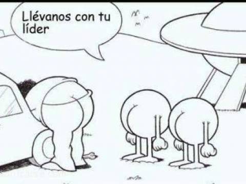 parecidos