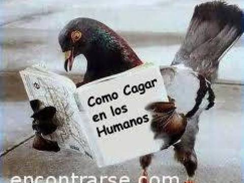Ladrones de Orgullo