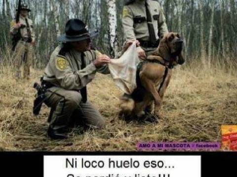 EL OLFATO NUNCA FALLA!!!