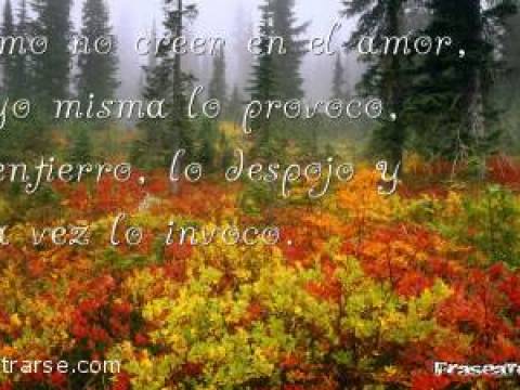 ENTIERRO DE SENTIMIENTOS VIVOS