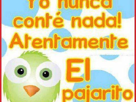 EL PAJARITO Y LA COTORRA