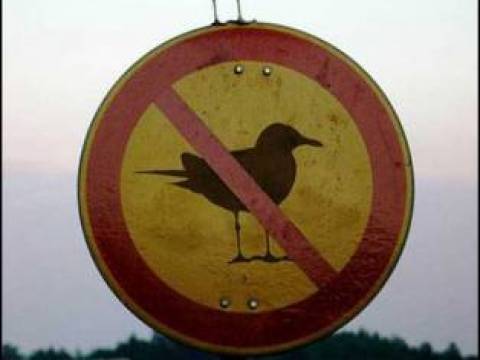 REBELDES CON O SIN CAUSA
