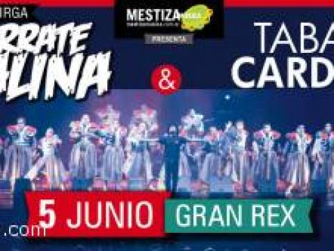 LEON GIECO - MURGA AGARRATE CATALINA ( COSQUIN 2014 )