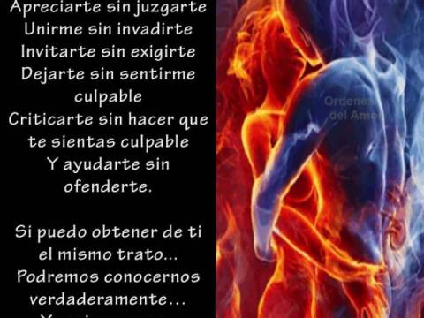 Amor Verdadero Bis