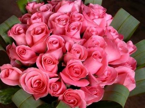 Feliz Cumple Melanie256 (Silvana)