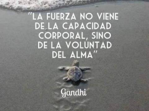 Fuerza del alma!