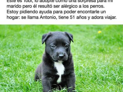 IMPORTANTE AVISO CLASIFICADO -