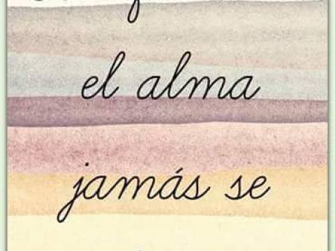 Tu alma