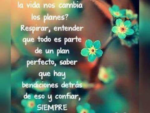 que hacer cuando la vida nos cambia los planes