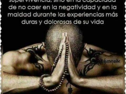 Reflexión