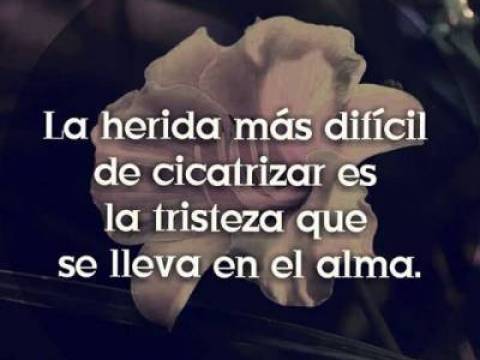 La herida...