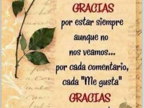 Hoy
