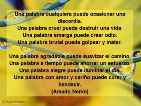 Una palabra...