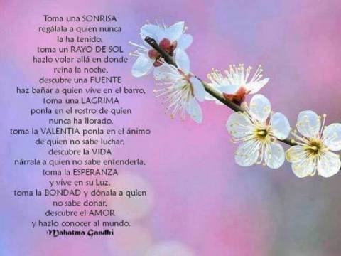 Toma...