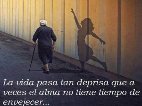 La vida...