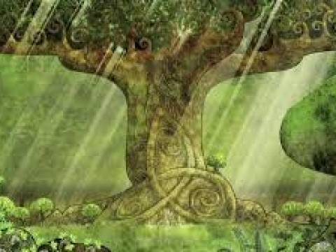 Dime qué día naciste y te diré qué árbol te representa