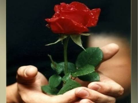MICROCUENTOS FRASES PENSAMIENTOS