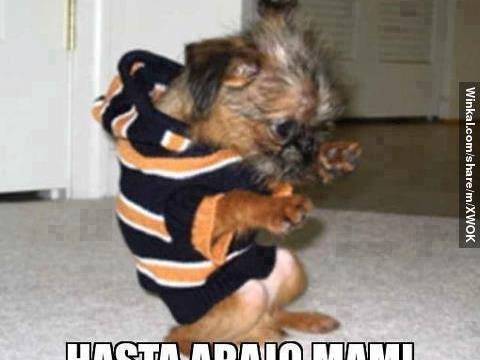 Estoy necesitando ...........