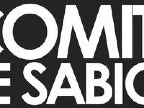 Crea tu "Comité de Sabios"