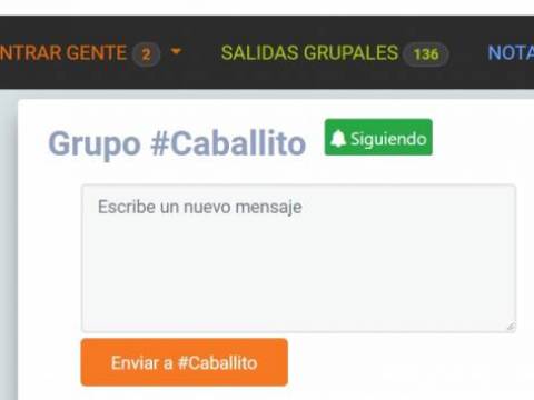 GRUPOS ZONALES - FEEDBACK