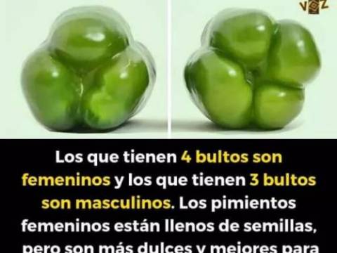 LOS PIMIENTOS