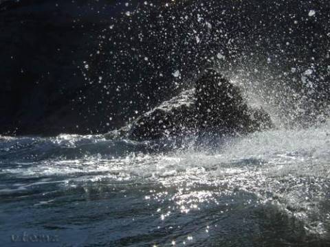 Alguien que quiera compartir salida a la costa
