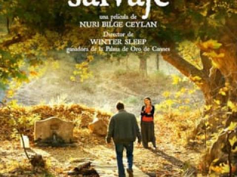 CINE DEBATE - Film: “EL PERAL SALVAJE”, de Nuri Bilge Ceylan