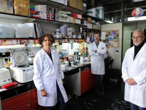 "Como se hace el Suero Anticuerpo "Argentino."
