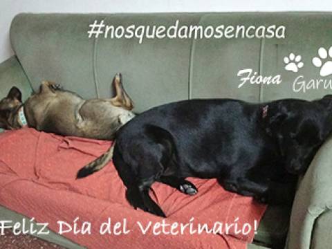 ¡Feliz día, SANDRA_LA_NEGRA, y a todos los veterinarios!