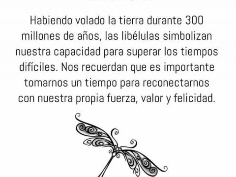 CUENTOS PARA CRECER ; "El cuento de la libelula"