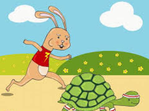 La tortuga