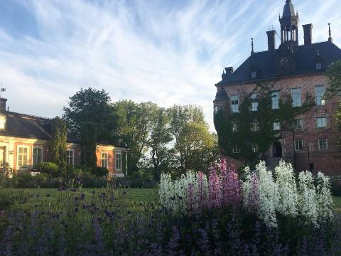 "Sueño en Uppsala"