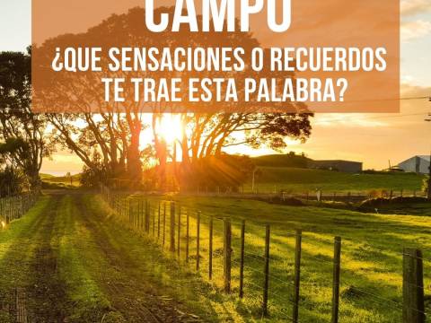 CAMPO ¿Qué sensaciones y recuerdos te trae esta palabra?