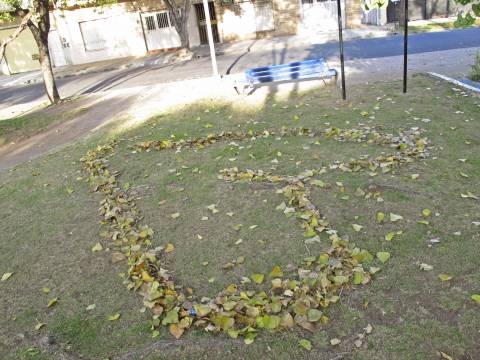 El romanticismo resiste al COVID