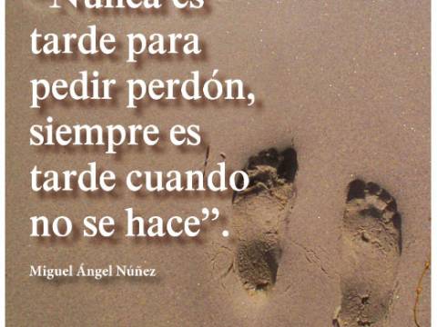 Nunca es tarde para amar