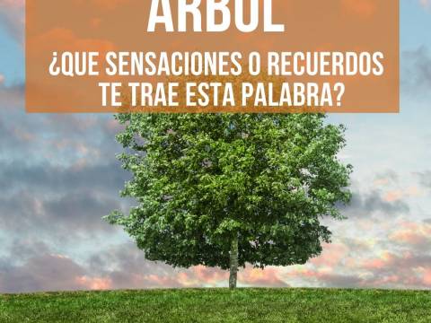ÁRBOL ¿Qué sensaciones y recuerdos te trae esta palabra?
