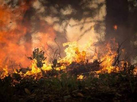 - " Los Vagabundos y El Incendio "