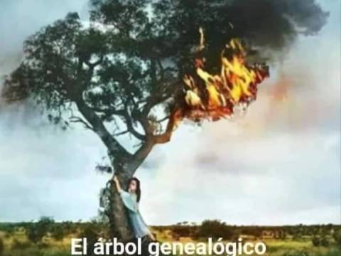 😡🤯👨👩👦👦...¿Tambien Se Poda?