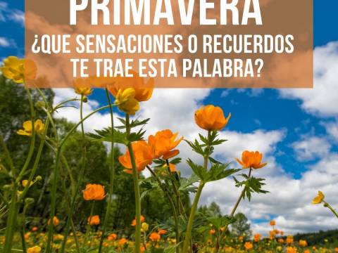 PRIMAVERA ¿Qué sensaciones ó recuerdos te trae esta palabra?