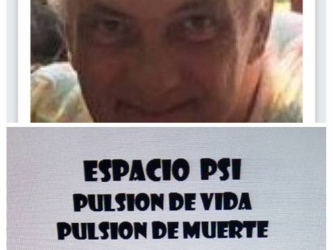 PULSION DE VIDA PULSION DE MUERTE