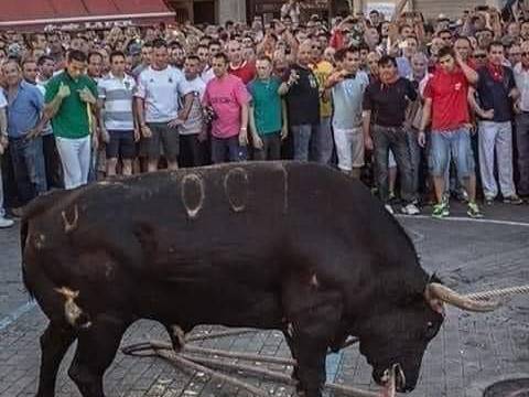 Sabías que?¡Mejor No Saberlo!