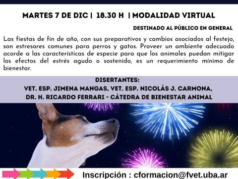 ¿Cómo ayudar a nuestros animales durante estas fiestas?