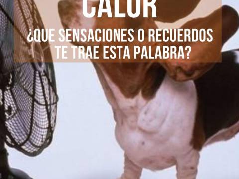 CALOR ¿Qué sensaciones, pensamientos y recuerdos te trae est
