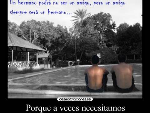 ¿Necesitamos,Esperamos,Pretendemos?????